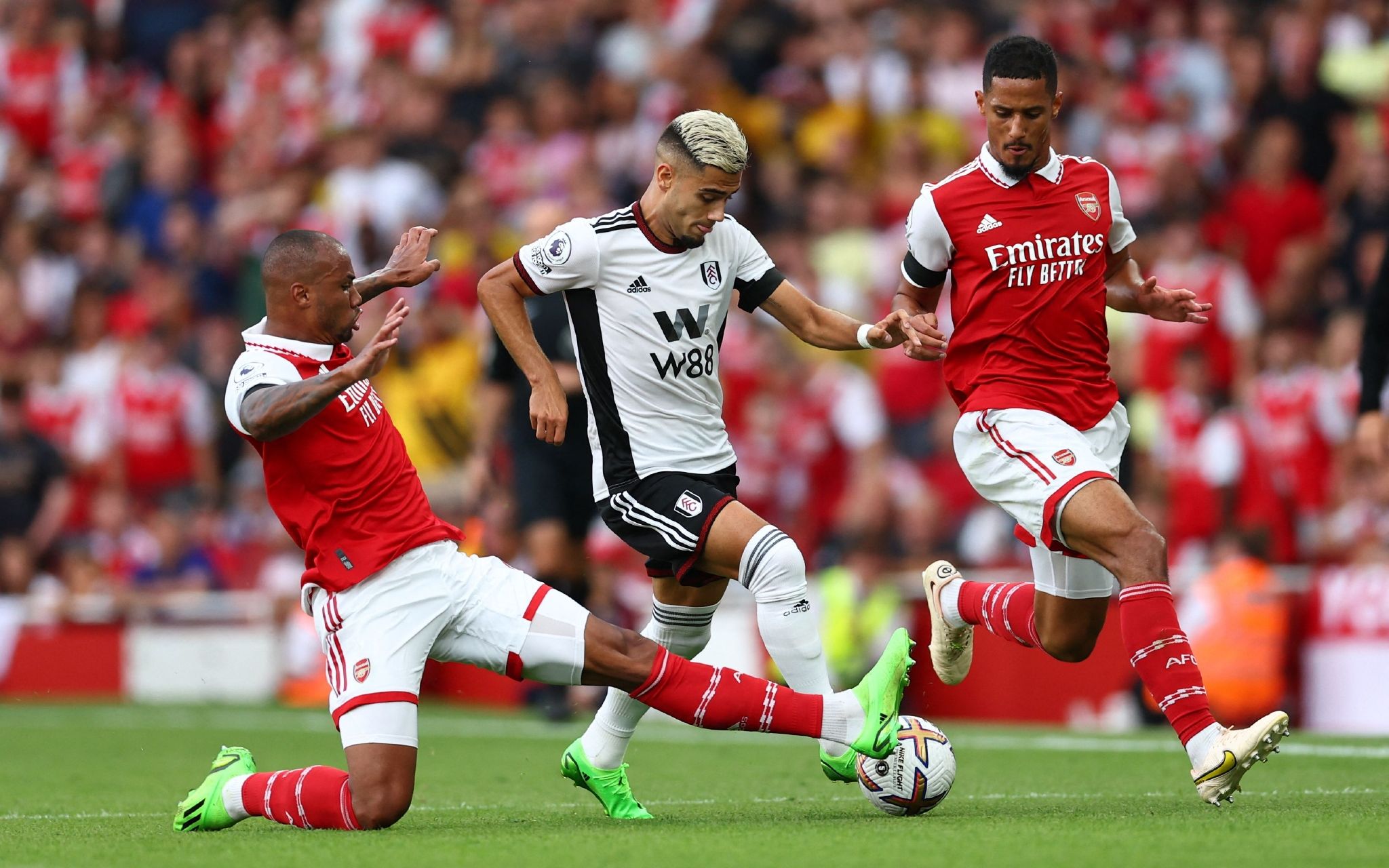 福建主帅凯 福建主帅凯